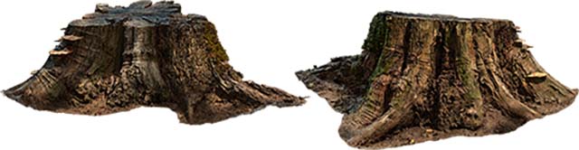 Tree_Stump_rcnxx_3d_Preview.jpg