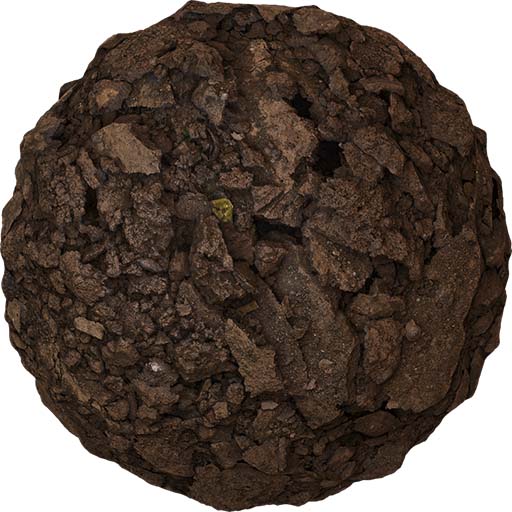 Soil Mud.jpg